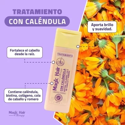 Tratamiento de Caléndula Magic Hair - Imagen 2