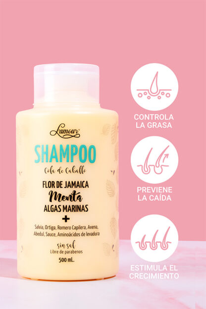 Shampoo Cola De Caballo Lamour - Imagen 2